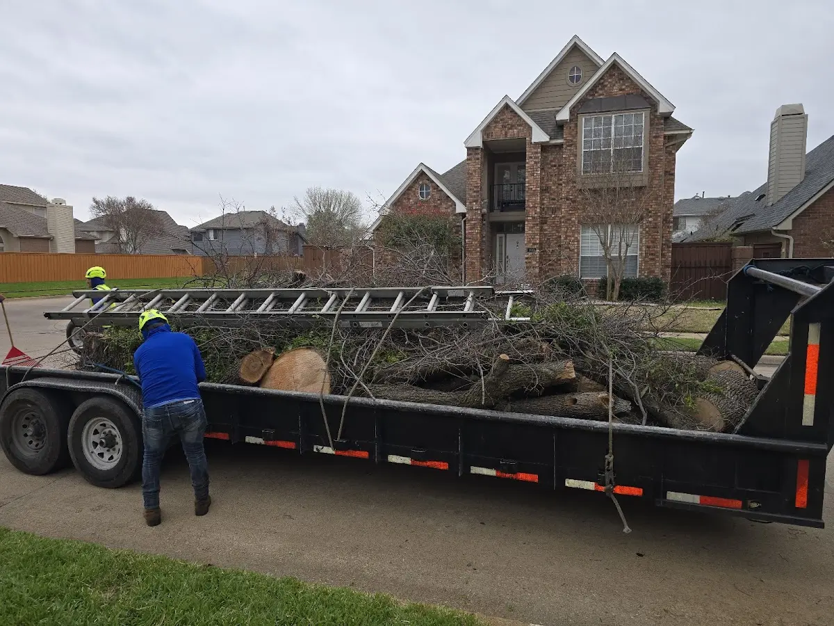 Expert Tree Removal with proper safety equipment in Hope